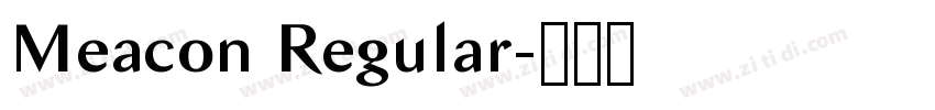 Meacon Regular字体转换 Meacon Regular字体转换